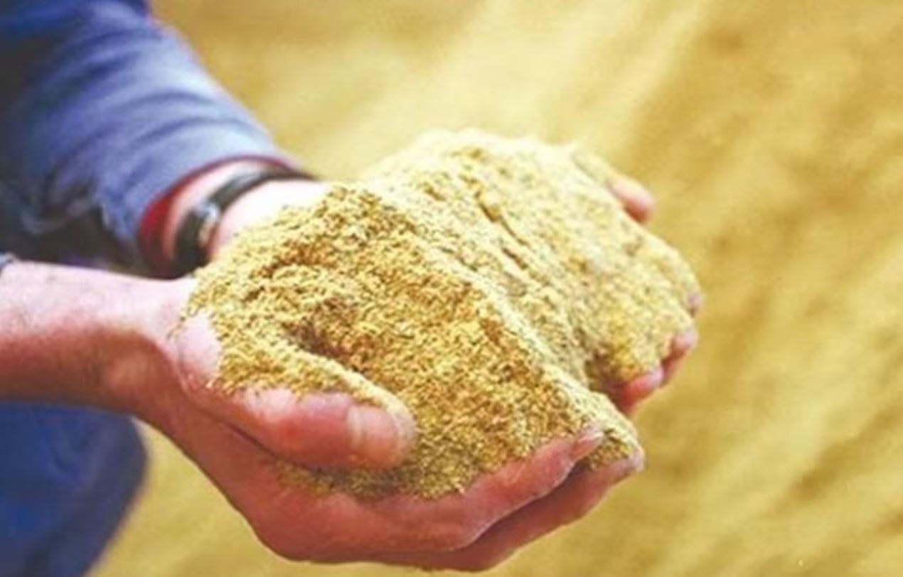 صادرات المغرب من دقيق السمك نحو أوروبا تتضاعف خلال عشر سنوات