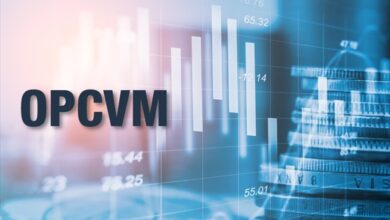 ارتفاع الاكتتاب في صناديق الاستثمار الجماعي إلى 199,7 مليار درهم في يناير