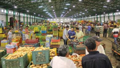 تعثر أسواق الجملة يخفض تقييم "الجيل الأخضر" بالمغرب