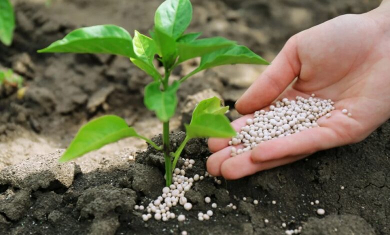 وكالة "فيتش" ترفع توقعات أسعار الأسمدة عالمياً خلال 2026