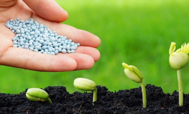 أمريكا تنوّع مصادر الأسمدة وتتجه نحو المغرب وفنزويلا