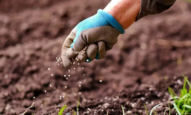 الهند تتجه نحو المغرب لتأمين إمداداتها من الأسمدة