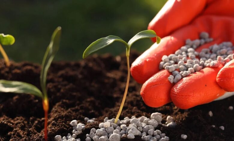 أزمة الخليج تعزز موقع المغرب كمصدر رئيسي للأسمدة