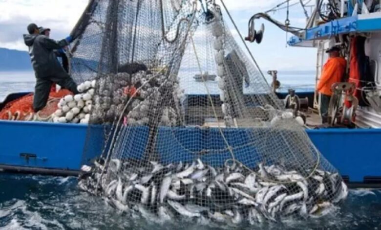 المغرب يطلق مشروعًا دوليًا لاستدامة سلاسل قيمة الصيد البحري