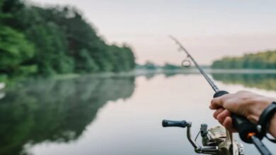 المغرب يفتتح موسم الصيد بالمياه البرية مع تعزيز تدابير الاستدامة