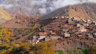 دراسة ترصد اختلالات التنمية المجالية وتدعو إلى تعزيز دور الجهات