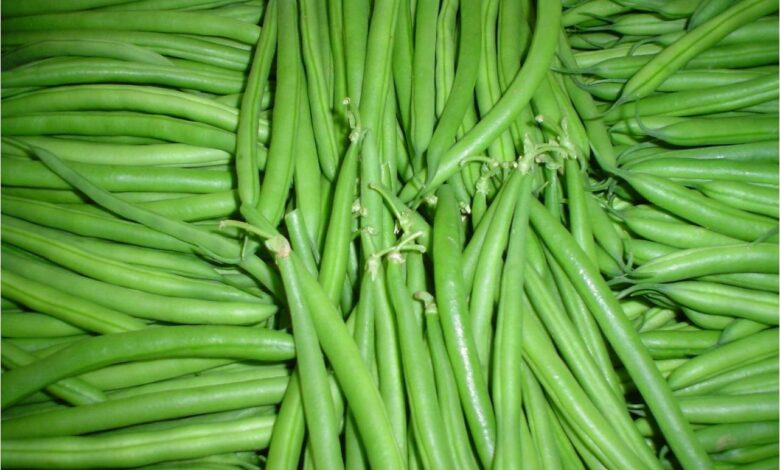 المغرب يتصدر قائمة موردي الفاصوليا الخضراء لإيرلندا