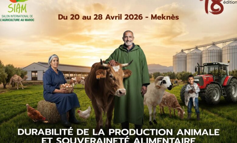 المعرض الدولي للفلاحة بمكناس يرفع شعار السيادة الغذائية