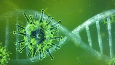 المغرب في صدارة مؤشر عالمي لبيئات دعم المناعة