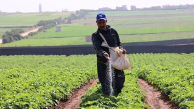 إطلاق برنامج لتكوين 40 ألف شاب في الوسط القروي