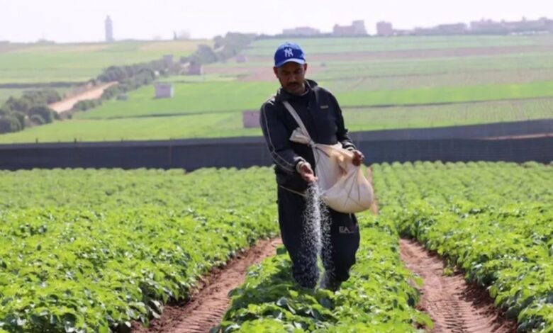 إطلاق برنامج لتكوين 40 ألف شاب في الوسط القروي