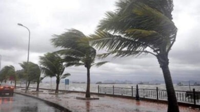 طقس الجمعة: أجواء باردة وضباب مع رياح قوية جنوباً