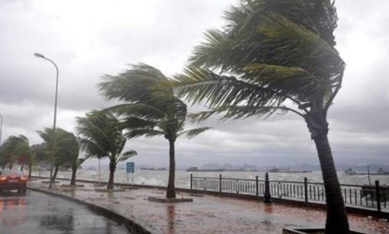 طقس الجمعة: أجواء باردة وضباب مع رياح قوية جنوباً