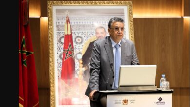 وهبي: الفجوة بين سرعة البنوك وبطء القضاء عائق أمام إدارة القروض