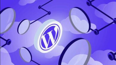 مديرية أمن نظم المعلومات تحذر من ثغرات خطيرة في "وورد بريس"