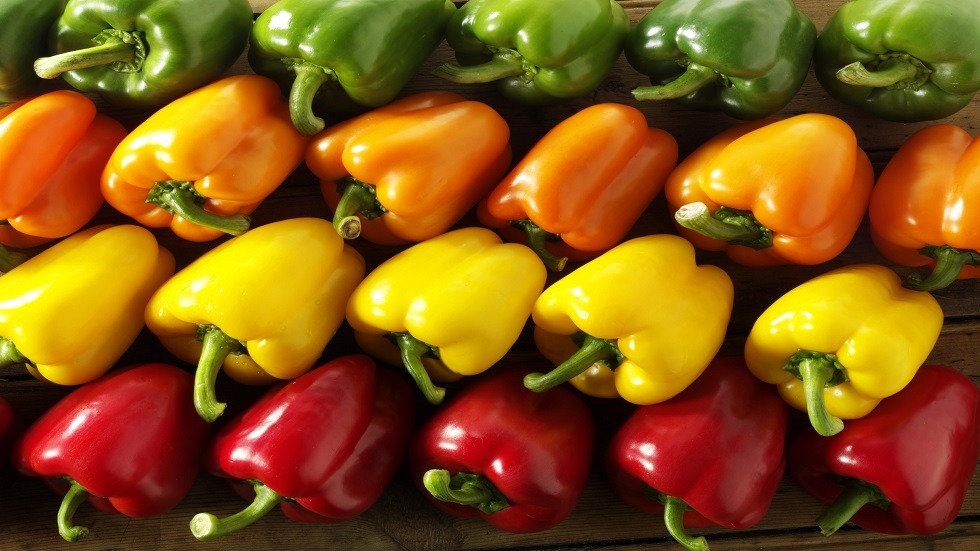 المغرب رابع مُصدر للفلفل الحلو إلى المملكة المتحدة