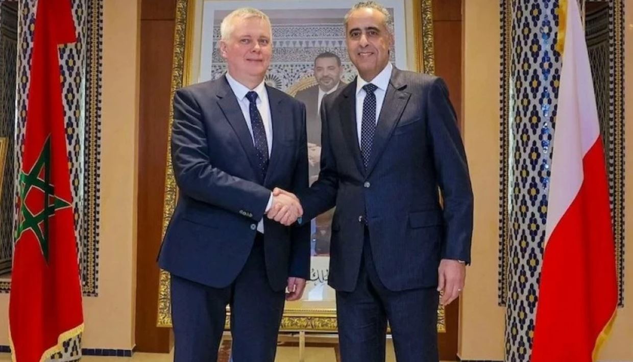 مباحثات بين حموشي ومسؤول بولندي حول التعاون الأمني