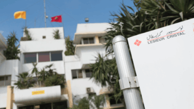 "لوسيور كريسطال" تتجه لتثمين نوى الزيتون عبر مشروع جديد