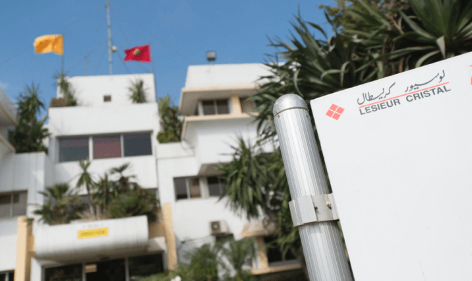 "لوسيور كريسطال" تتجه لتثمين نوى الزيتون عبر مشروع جديد