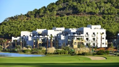 "مارشيكا ميد" تحقق نتائج استثنائية وتفتح آفاقاً جديدة للنمو