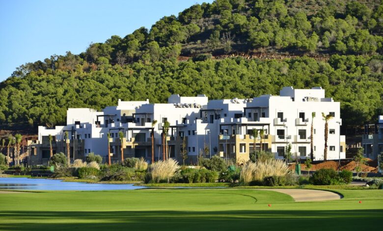 "مارشيكا ميد" تحقق نتائج استثنائية وتفتح آفاقاً جديدة للنمو