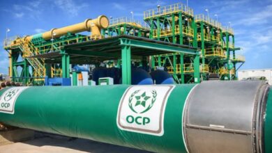 ارتفاع رقم معاملات مجموعة OCP بنسبة 17,5%