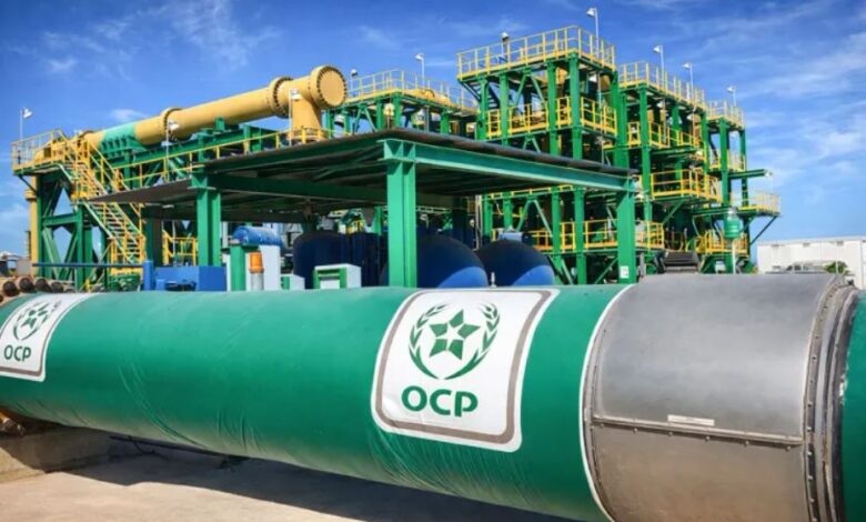 ارتفاع رقم معاملات مجموعة OCP بنسبة 17,5%