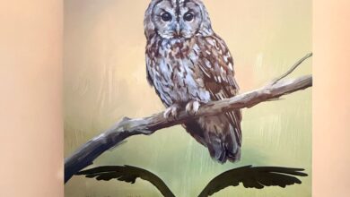 “طيور حديقة ماجوريل”.. معرض يحتفي بالتنوع البيولوجي في مراكش