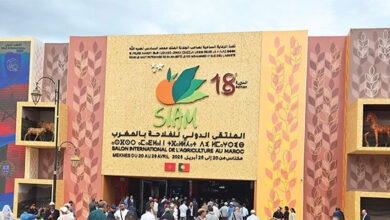 أكثر من 1.13 مليون زائر لمعرض الفلاحة بمكناس 2026