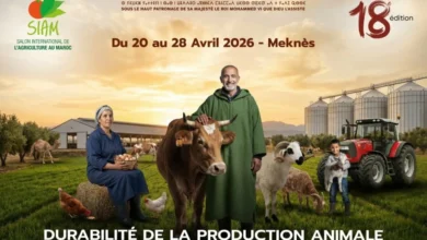 إسبانيا تشارك بأزيد من 30 شركة في المعرض الدولي للفلاحة 2026