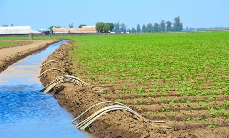 السودان يعزز شراكته مع المغرب في مجالات الري والموارد المائية