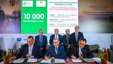 القرض الفلاحي ووزارة الفلاحة يطلقان برنامجا للتربية المالية
