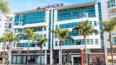 صافي أرباح مجموعة "أليانس" يقفز إلى 32% في 2025