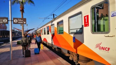 دراسة وطنية ترسم مستقبل النقل بالقطار في المغرب