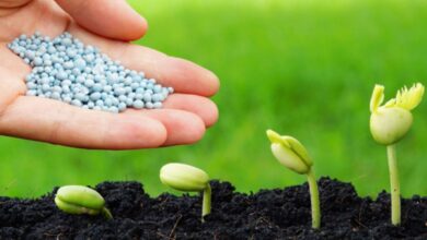 الكونغرس يناقش تخفيف القيود على واردات الأسمدة المغربية