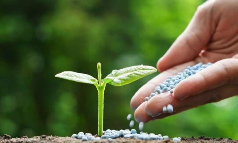 الامم المتحدة تتوقع أزمة غذائية بسبب تهديدات سلاسل توريد الأسمدة