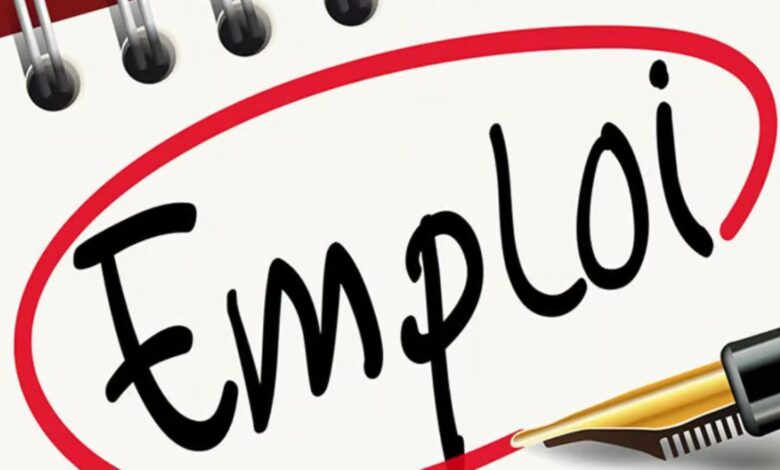 التشغيل: اجتماع حكومي لتقييم حصيلة البرامج