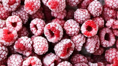 المغرب يدخل قائمة كبار مورّدي التوت المجمّد إلى هولندا في 2025