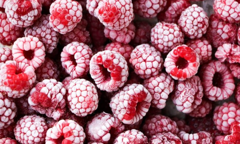 المغرب يدخل قائمة كبار مورّدي التوت المجمّد إلى هولندا في 2025