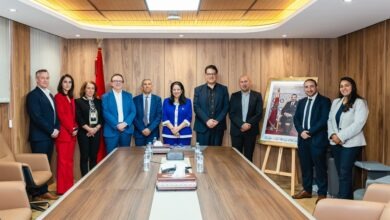 أمل الفلاح تبحث مع ALTEN آفاق تطوير الذكاء الاصطناعي الوطني