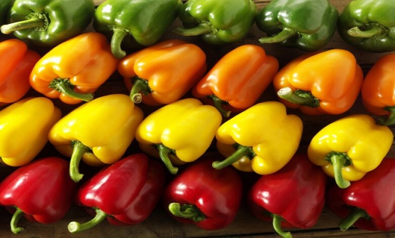 المغرب رابع مُصدر للفلفل الحلو إلى المملكة المتحدة