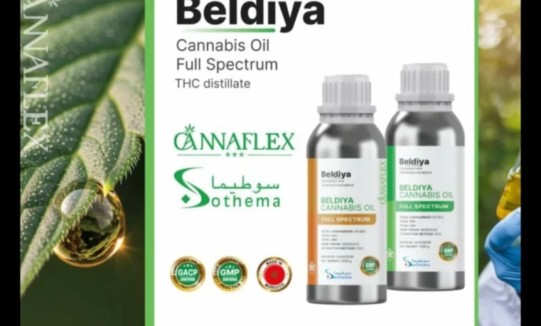 المغرب يصدر أول مستخلص دوائي من القنب الطبي وفق معايير دولية