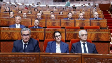 بين التشغيل والدعم المباشر.. قراءة في حصيلة حكومة أخنوش