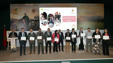 تتويج 455 منتجاً في المباراة المغربية للمنتجات المجالية بمكناس