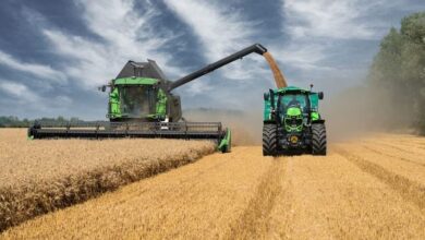 المغرب يتوقع محصولاً قياسياً من الحبوب يقارب 90 مليون قنطار