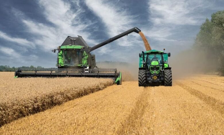 المغرب يتوقع محصولاً قياسياً من الحبوب يقارب 90 مليون قنطار