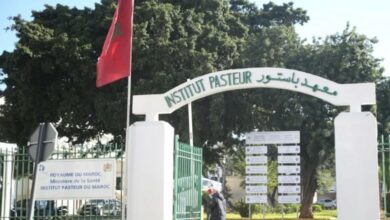 تعيين عهد أولاد الحسن مديرة لمركز الأمصال واللقاحات التابع لمعهد باستور