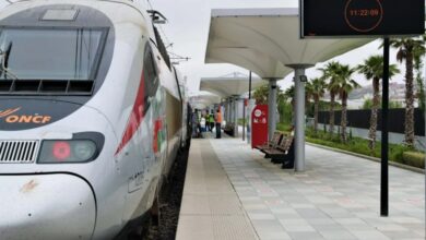 إنجاز 30% من مشروع القطار فائق السرعة بين القنيطرة ومراكش