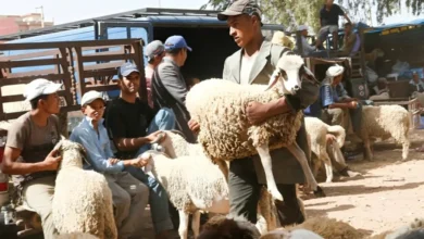 صرف مبكر للأجور في القطاع العام تزامناً مع اقتراب عيد الأضحى