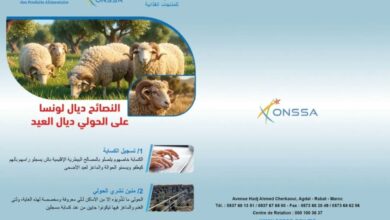 "أونسا" تدعو المغاربة لاحترام شروط الذبح والتخزين خلال العيد